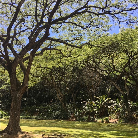 Hawaii with Aaron & Charlotte! - Picture 6 of 8